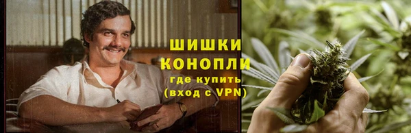 гашик Каменногорск