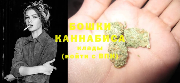 гашик Каменногорск