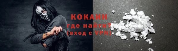гашик Каменногорск
