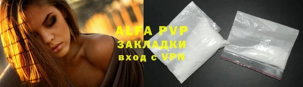 гашик Каменногорск