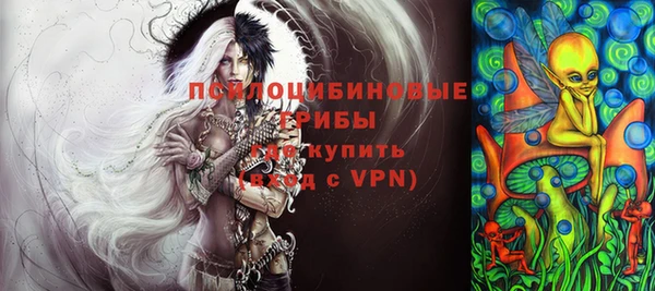 дмт Каменск-Шахтинский
