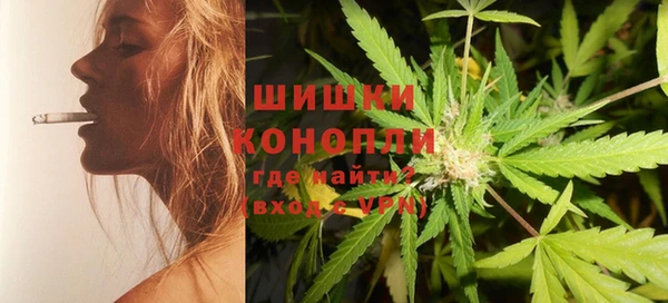 гашик Каменногорск