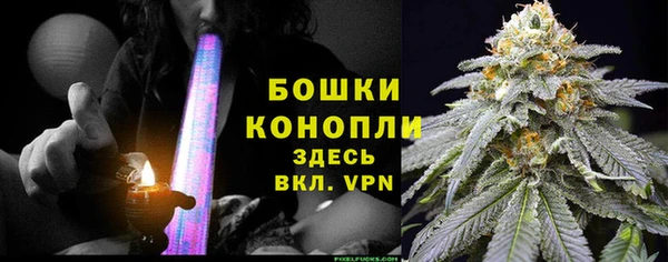 гашик Каменногорск