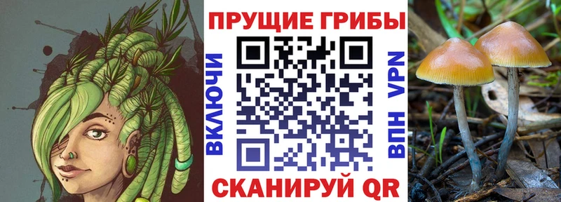 Купить где  Верхоянск  Галлюциногенные грибы MAGIC MUSHROOMS 